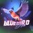 Bluebird