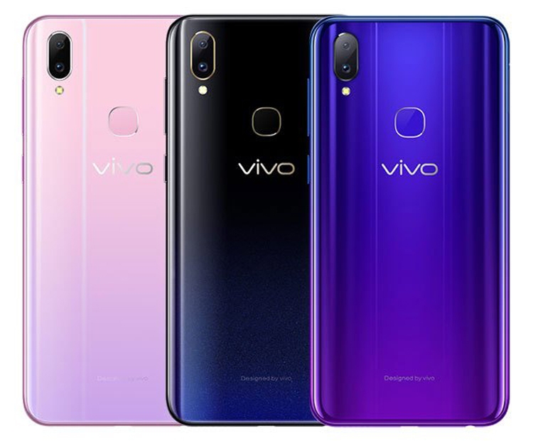 vivo3.jpg